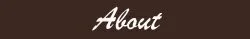 sexy escorts, models, escort agencies, sexy escort service