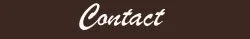exclusive companionship, beautiful woman, high class VIP escorts